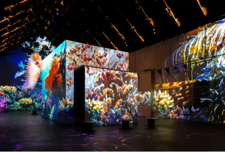 Coral reef colorful projected images in large space