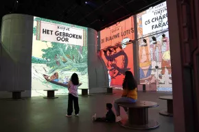 Comic books covers of Tintin projected at Fabrique des Lumières