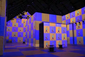 Projections of colourful blocks with Tintin